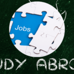 highest paying jobs after studying abroad